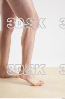 Leg reference of Dexter 0011